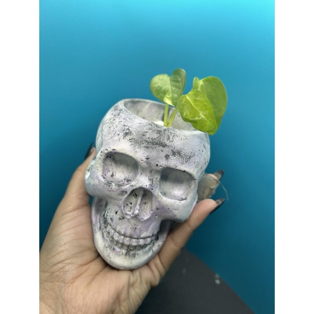 Skull Concrete Planter Lilac – Handmade Cement Succulent Plant Pot, Handmade - Picture 9 of 9